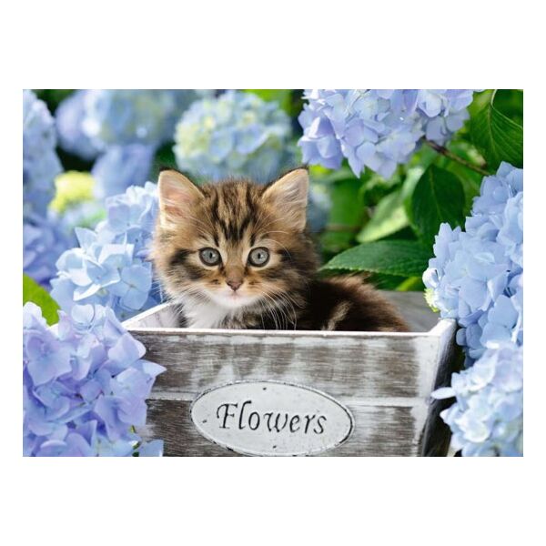 Klein katje ravensburger puzzel