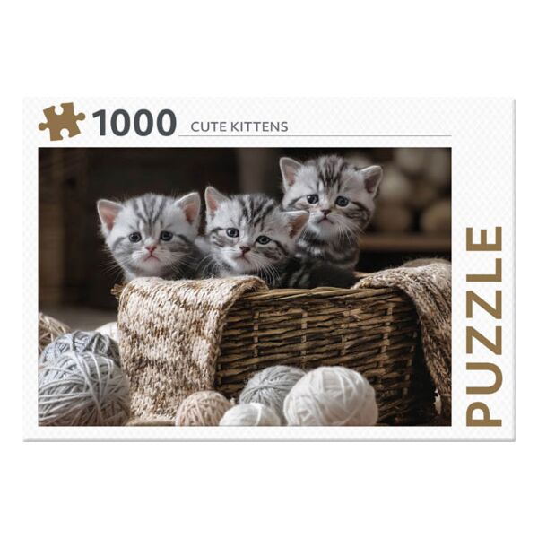 Cute Kittens - REBO 1000