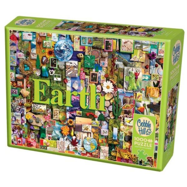 Cobble Hill 80172 Earth