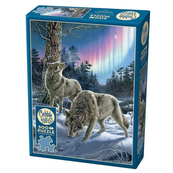 Northern Lights (500)