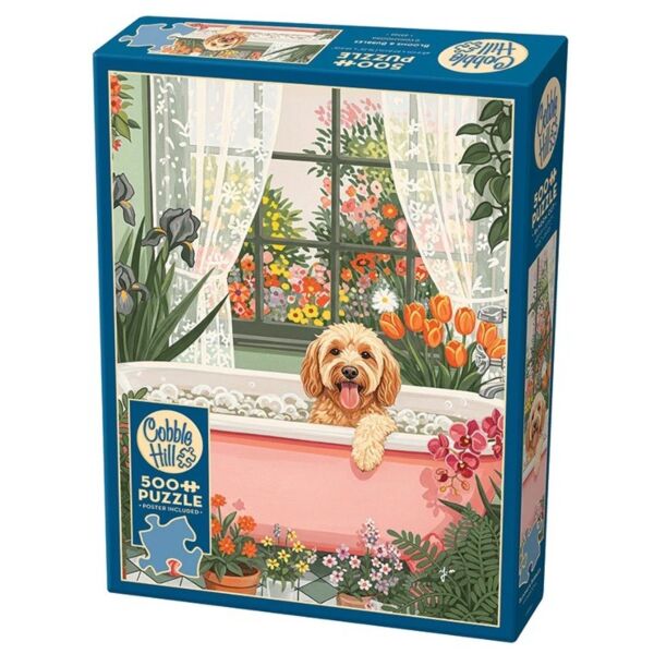 Bloom and Bubbles (500)