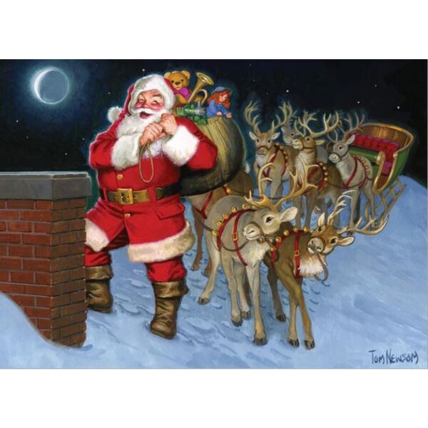 Cobble Hill Puzzle Up on the Rooftop 350