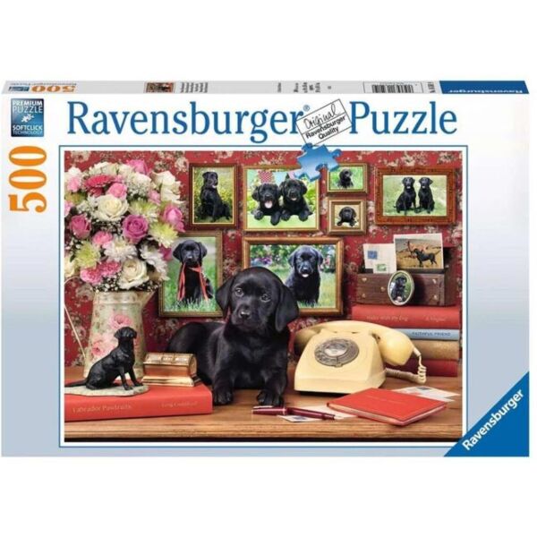 Mijn trouwe vrienden (Ravensburger 16591)