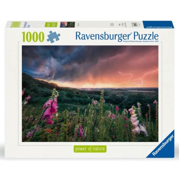 Puzzle 1000 Dreamy Thunder