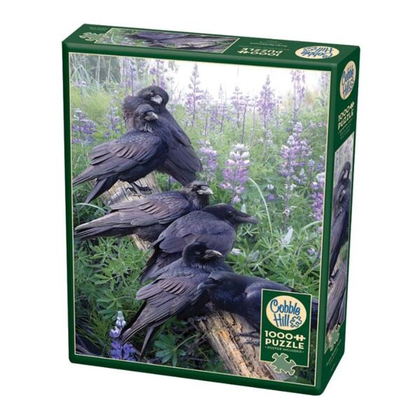 Raven Rendezvous (Cobble Hill)