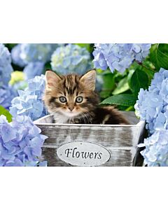 Klein katje ravensburger puzzel
