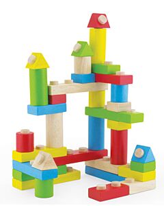 Connect 'n' Build Blocks - Pintoy
