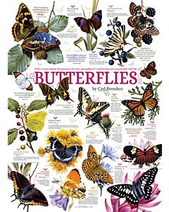 Butterfly Collection (Cobble Hill)