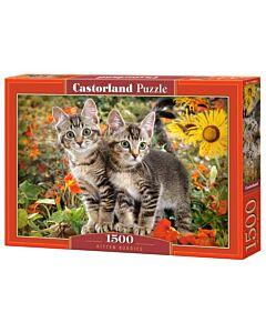 Castorland puzzle 1500 Kitten Buddies
