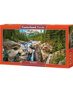 Castorland natuurpuzzel 4000 stukjes