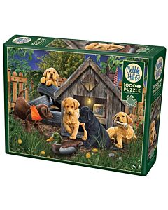 In the Doghouse (1000) 