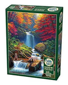 Cobble Hill puzzle Mystic Falls in Autumn