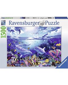 Dag van de dolfijnen 1500 Ravensburger