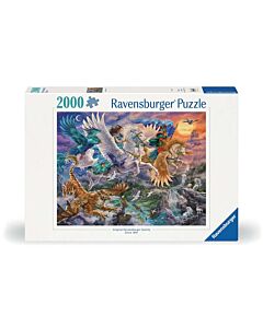 Door de lucht op een Pegasus