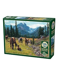 Horse Meadow puzzle