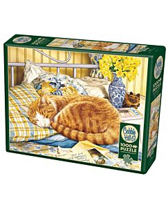 puzzel kat
