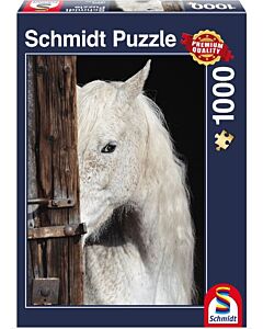 Paardenschoonheid (Schmidt puzzel)
