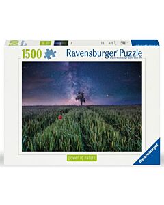 Power of nature puzzle: Field and Stars 1500