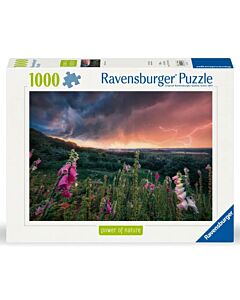Puzzle 1000 Dreamy Thunder