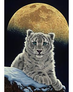 Schim Schimmel - Moon Leopard 1500