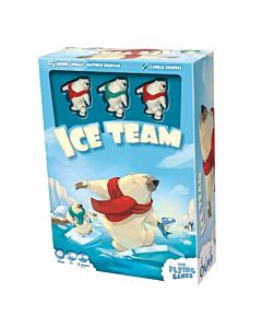 Spel Ice Team (The Flying Games)