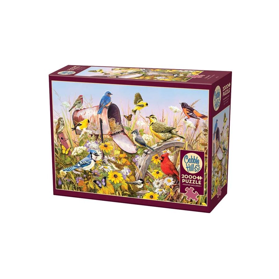 Cobble Hill Puzzle Field Song 2000